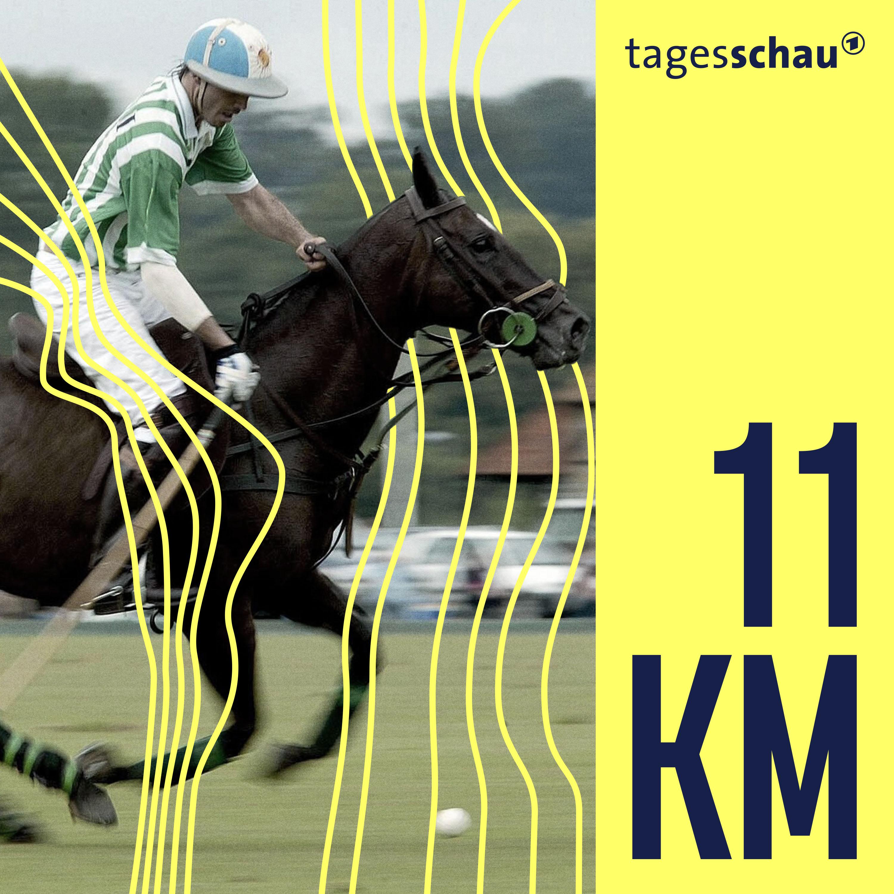 Pferde klonen: Millionengeschäft im Spitzensport