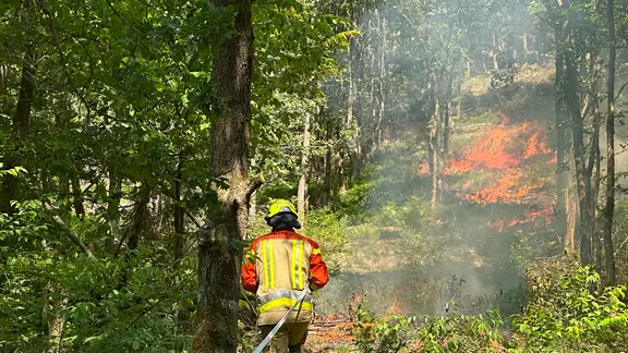 Feuerwehrübung: In einem Waldgebiet in Göhrde (Landkreis Lüchow-Dannenberg) werden zu Übungszwecken gelegte Feuer gelöscht.