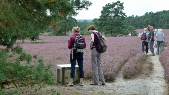 Wanderer an einer Infotafel in der Misselhorner Heide | NDR / Axel Franz, Axel Franz Wanderer an einer Infotafel in der Misselhorner Heide