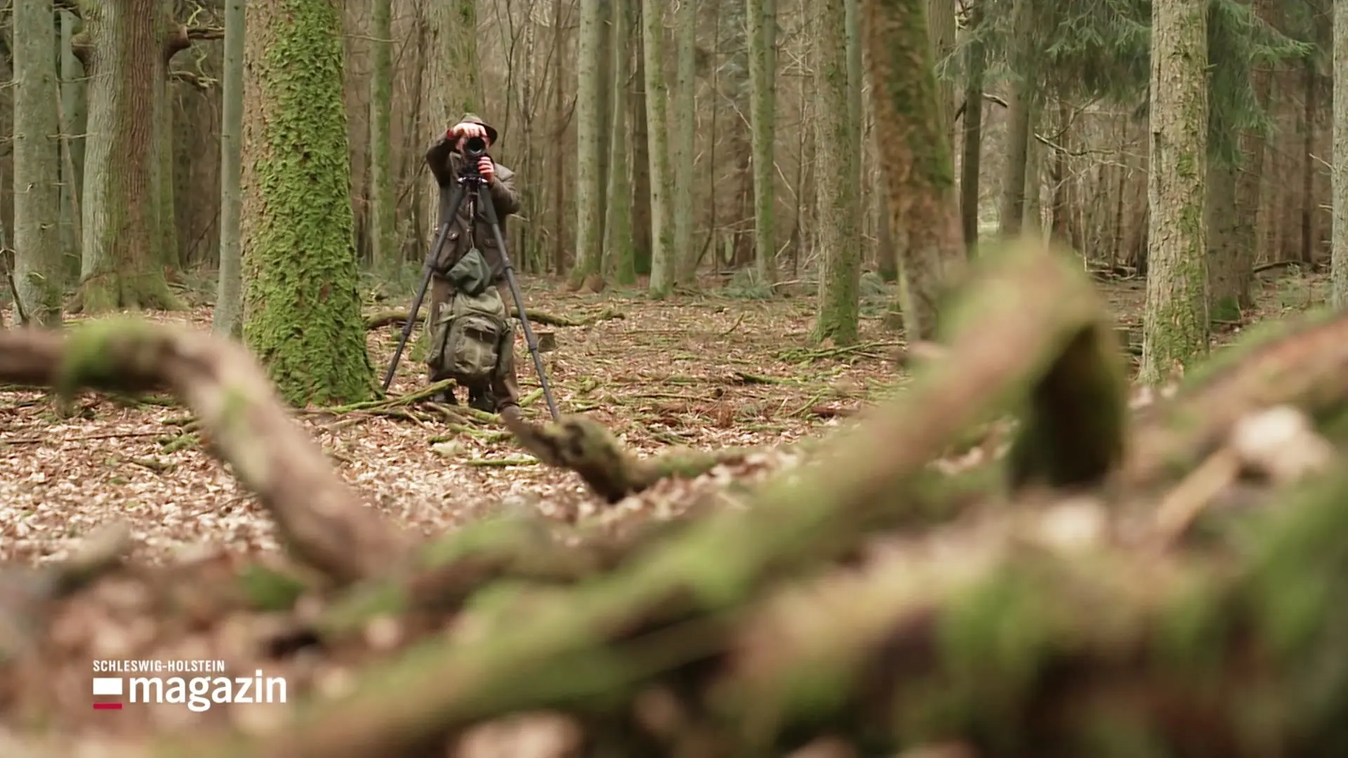 Schloss Reinbek zeigt Fotoausstellung über Sachsenwald