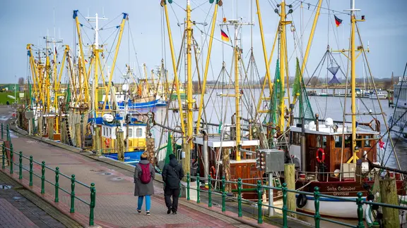 Ein Anleger im Hafen an dem lauter Fischerboote liegen. Zwei Personen laufen daran vorbei.