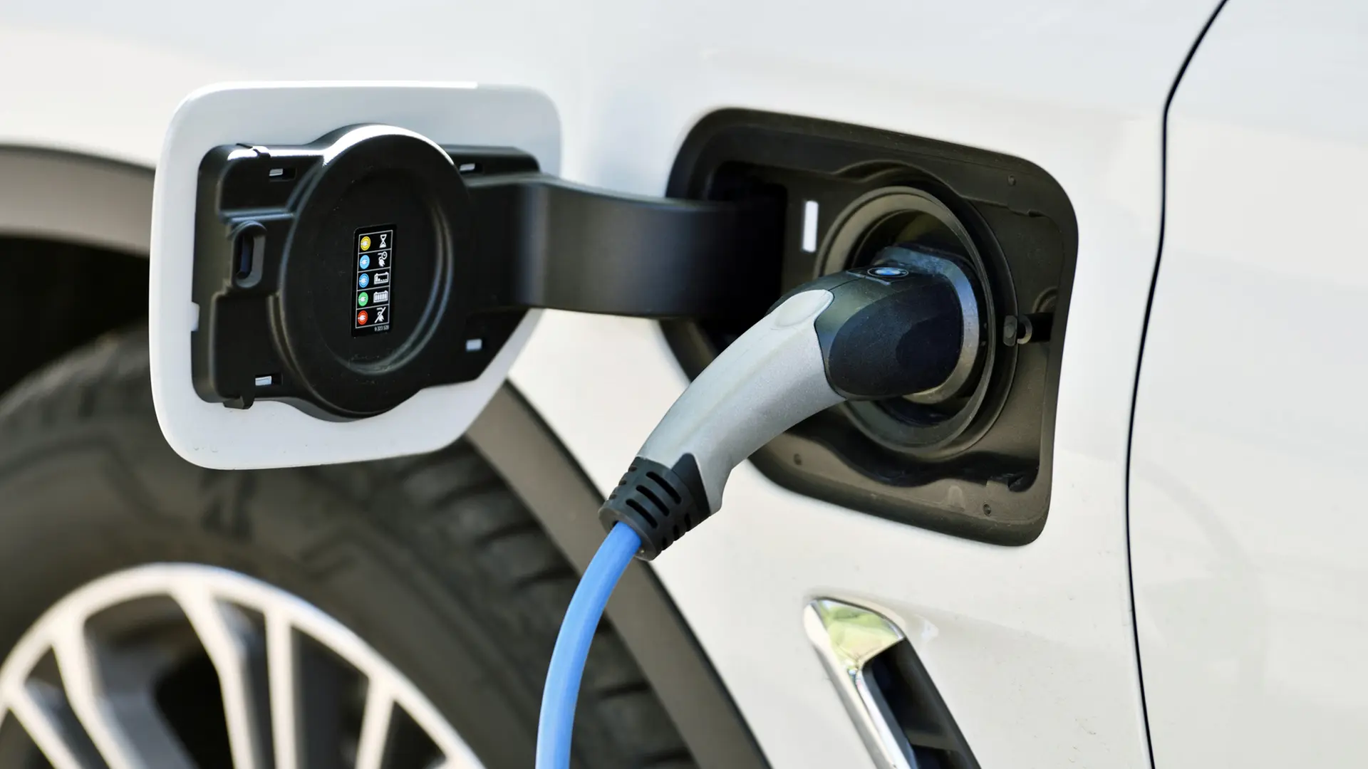 Deutlich mehr Zulassungen von Elektroautos in Hamburg