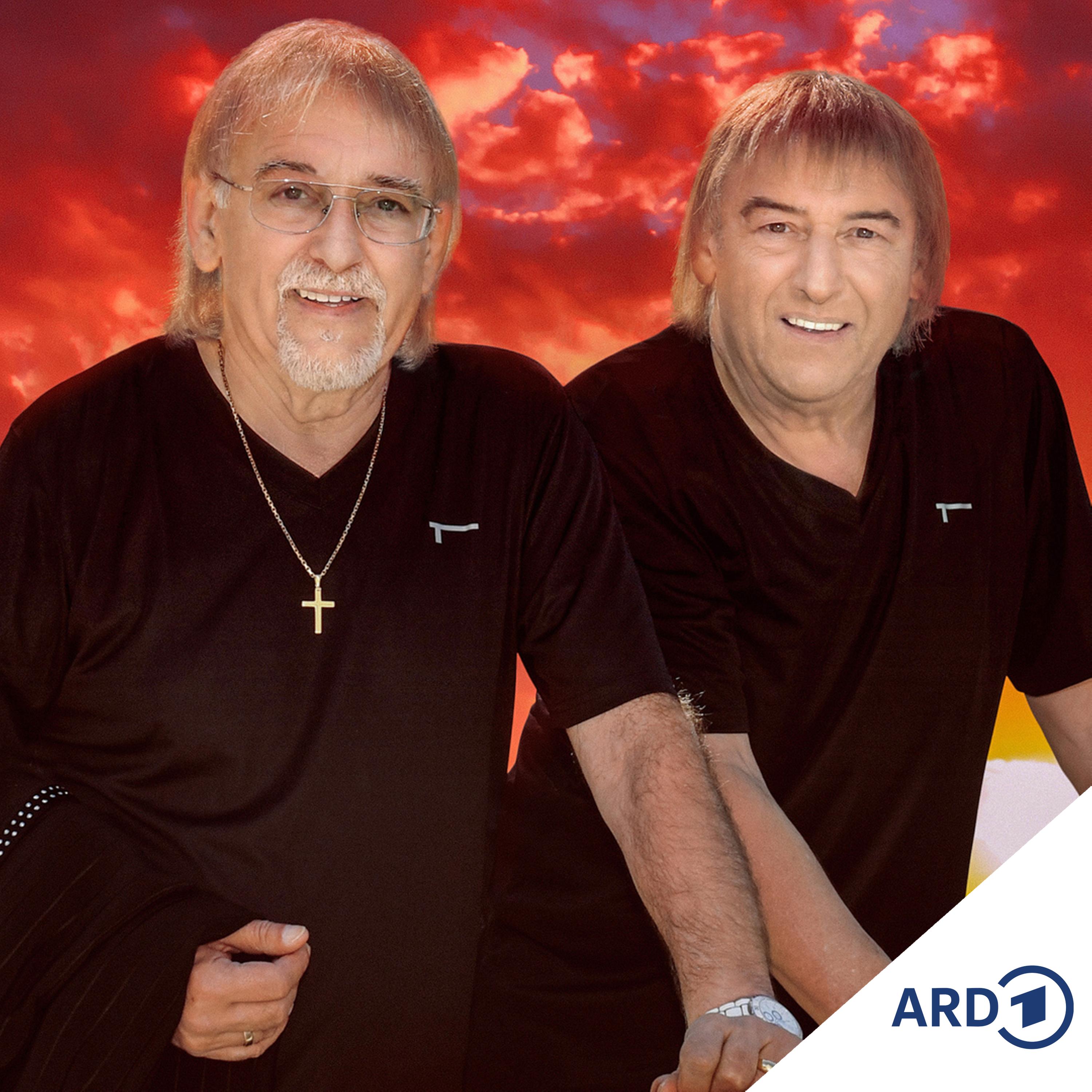 Amigos: "Der helle Wahnsinn"