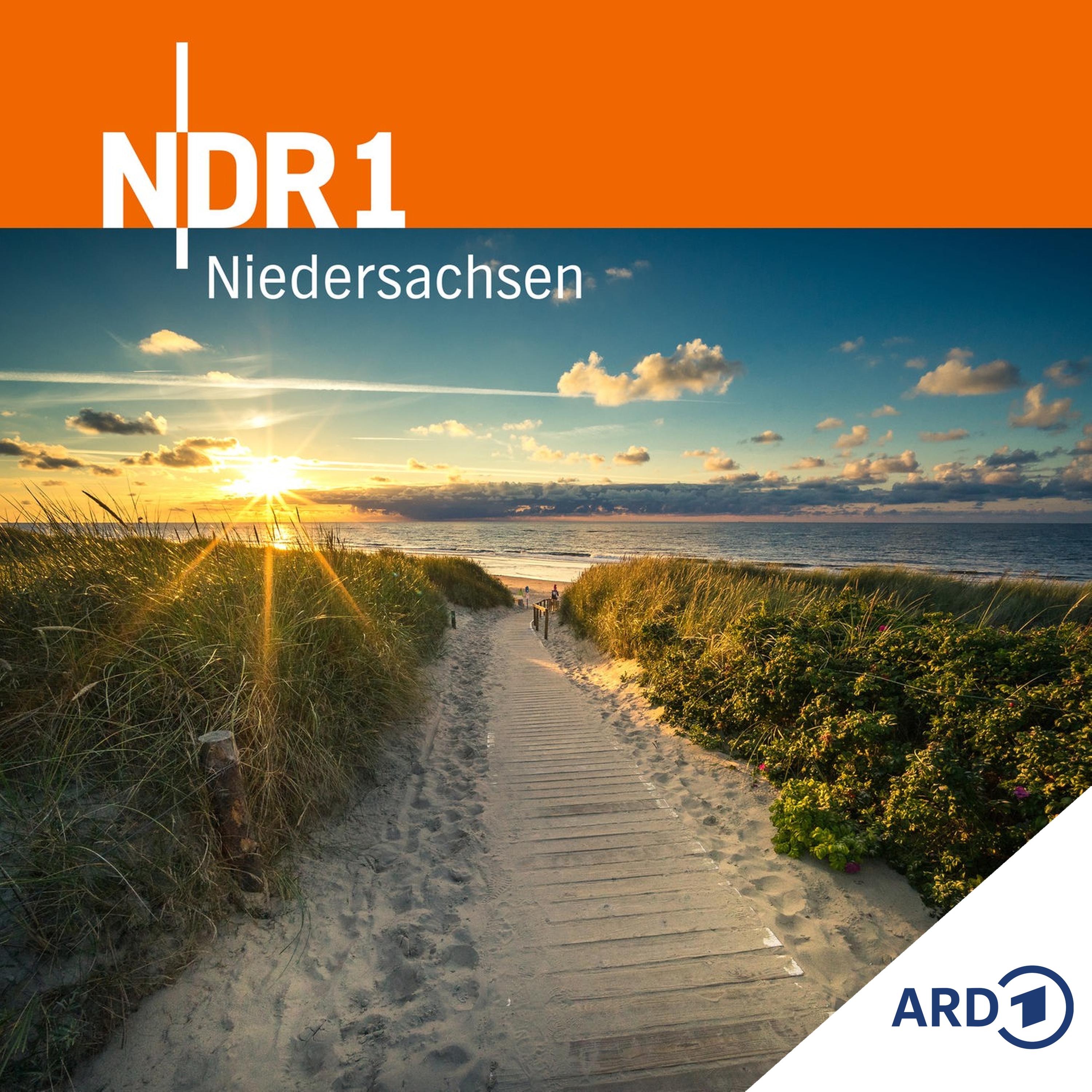 Greenpeace entdeckt Chemikalien in Nordseefischen