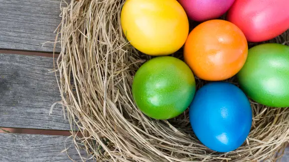 Ein Nest mit bunten Ostereiern.