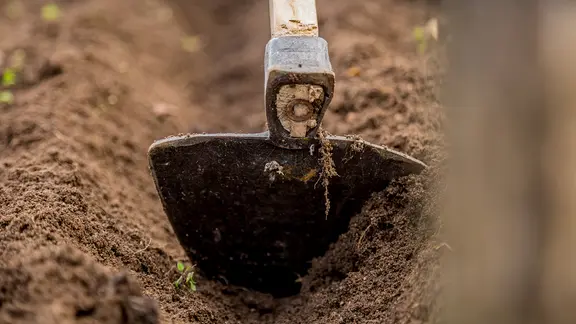 Mit einer Hacke wird eine Furche ins Beet gezogen