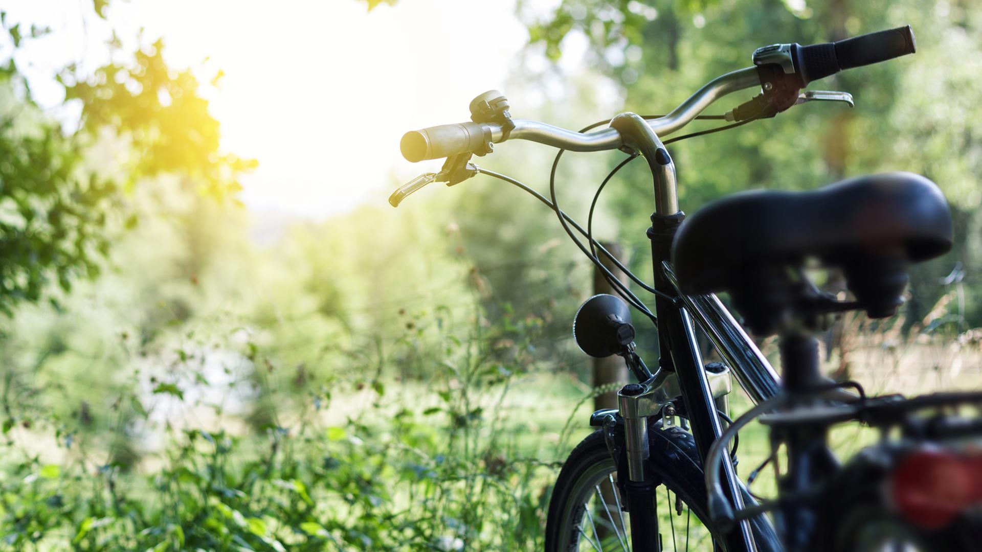 Ein Fahrrad parkt im Grünen. | Fotolia, rilliant Eye
