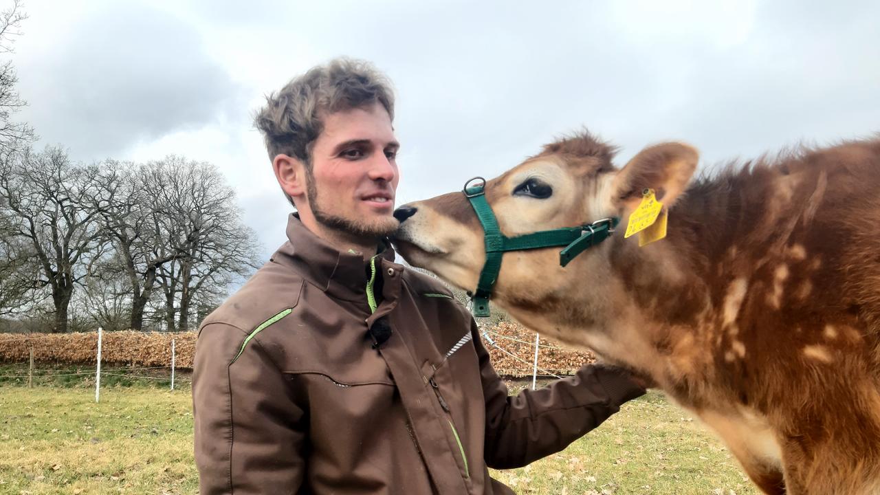 Der blinde Landwirt Axel Duensing mit einem Jersey-Kälbchen auf der Weide.
