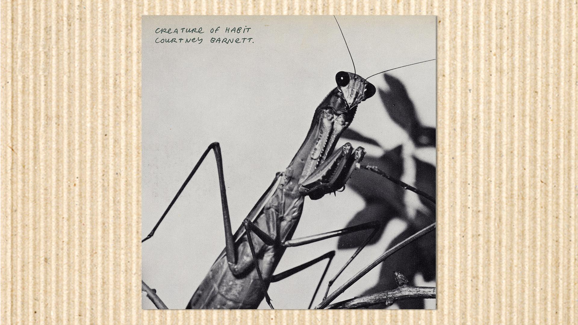 "Creature of Habit" - Ein Album, das Gewohnheiten sprengt