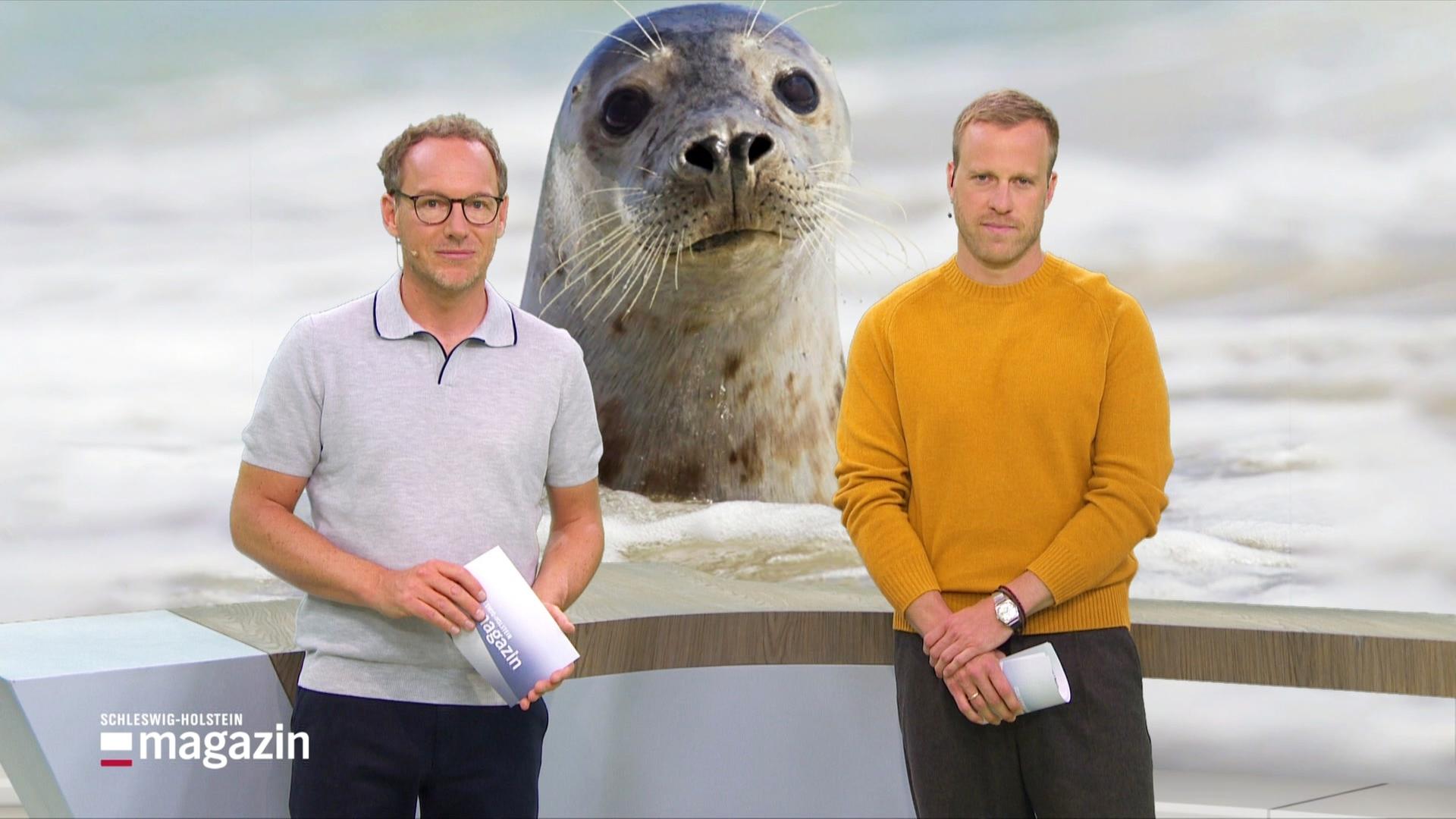Die Moderatoren Henrik Hanses und Julian Krafftzig | Screenshot