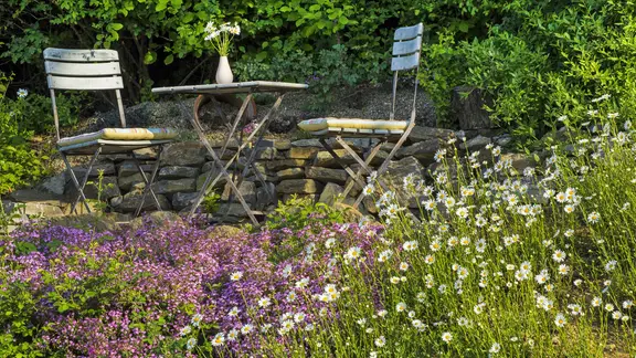 Zwei Stühle und ein Tisch im Garten, davor wild wachsende Blumen