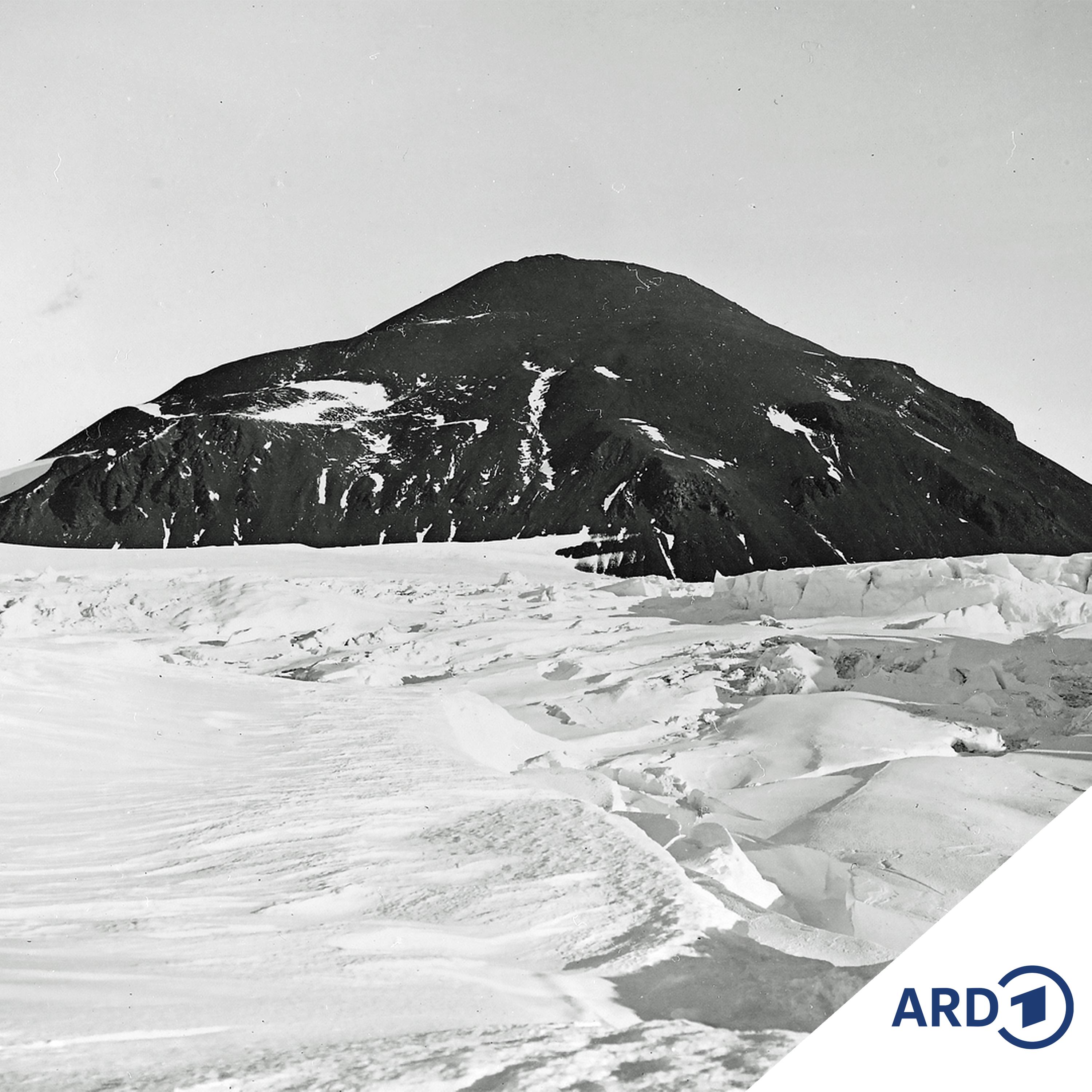 Kindernachrichten Sommerprogramm: Roald Amundsen?