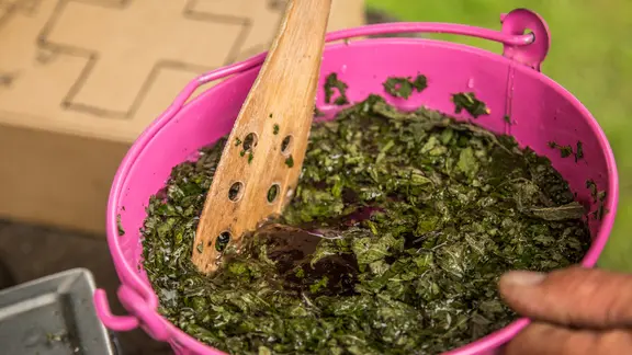 Jemand rührt mit einem Holzlöffel in einem Eimer mit Pflanzenbrühe. | NDR, Udo Tanske Jemand rührt mit einem Holzlöffel in einem Eimer mit Pflanzenbrühe.