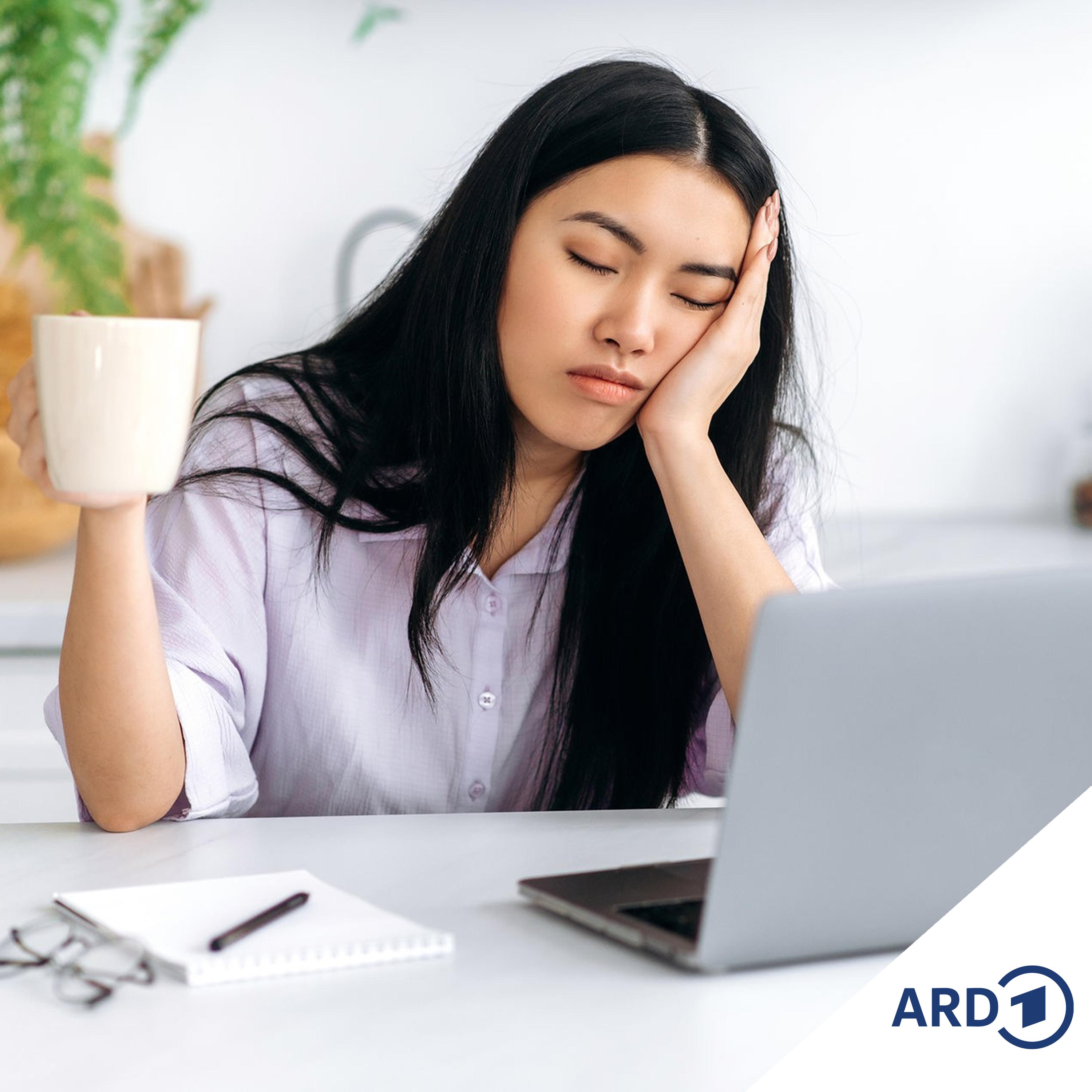 Sülvst maakt, Gild spoort