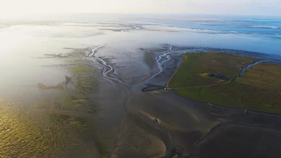 Wattenmeer