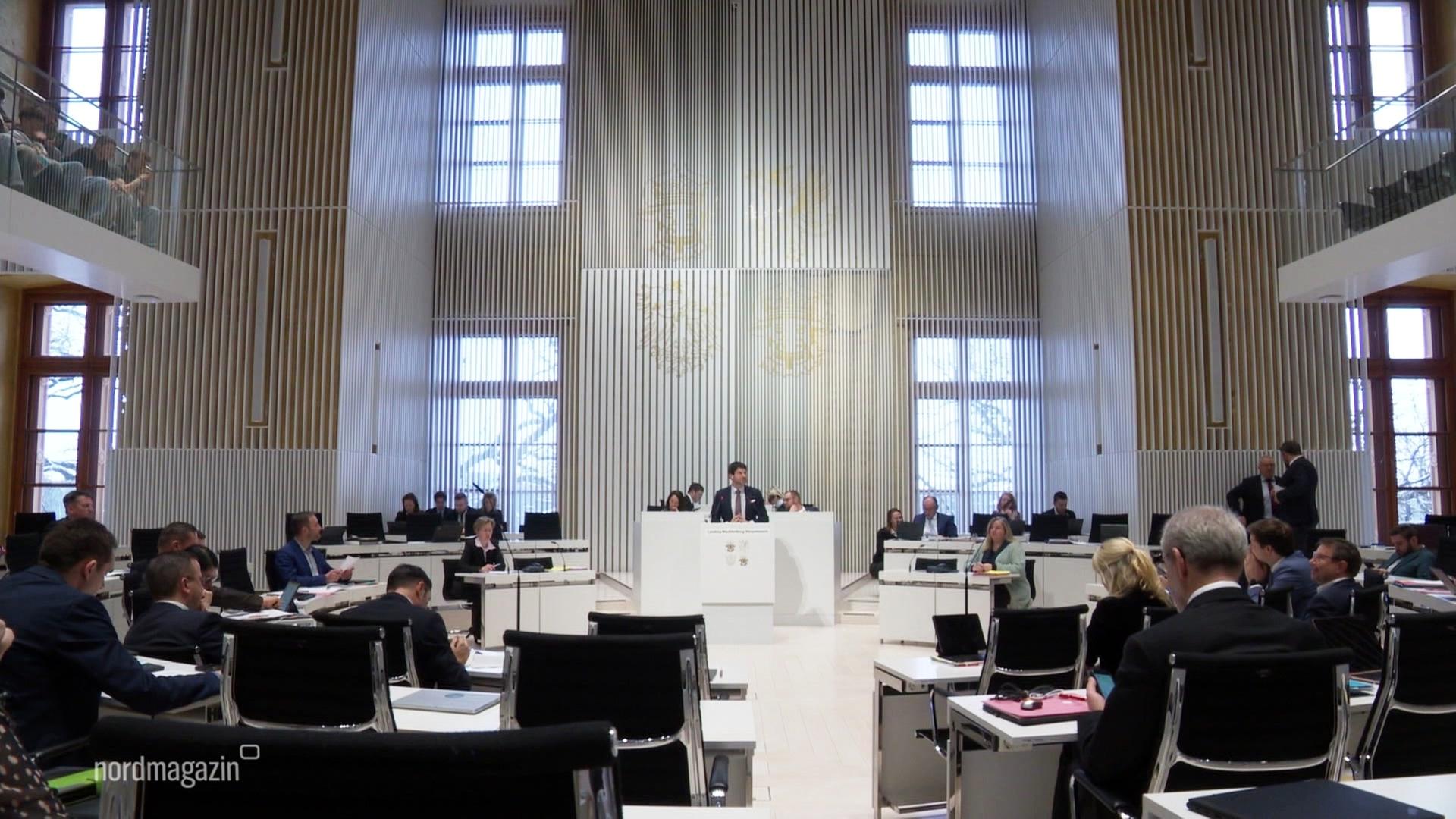 Abgeordnete debattieren im Schweriner Landtag. | Screenshot