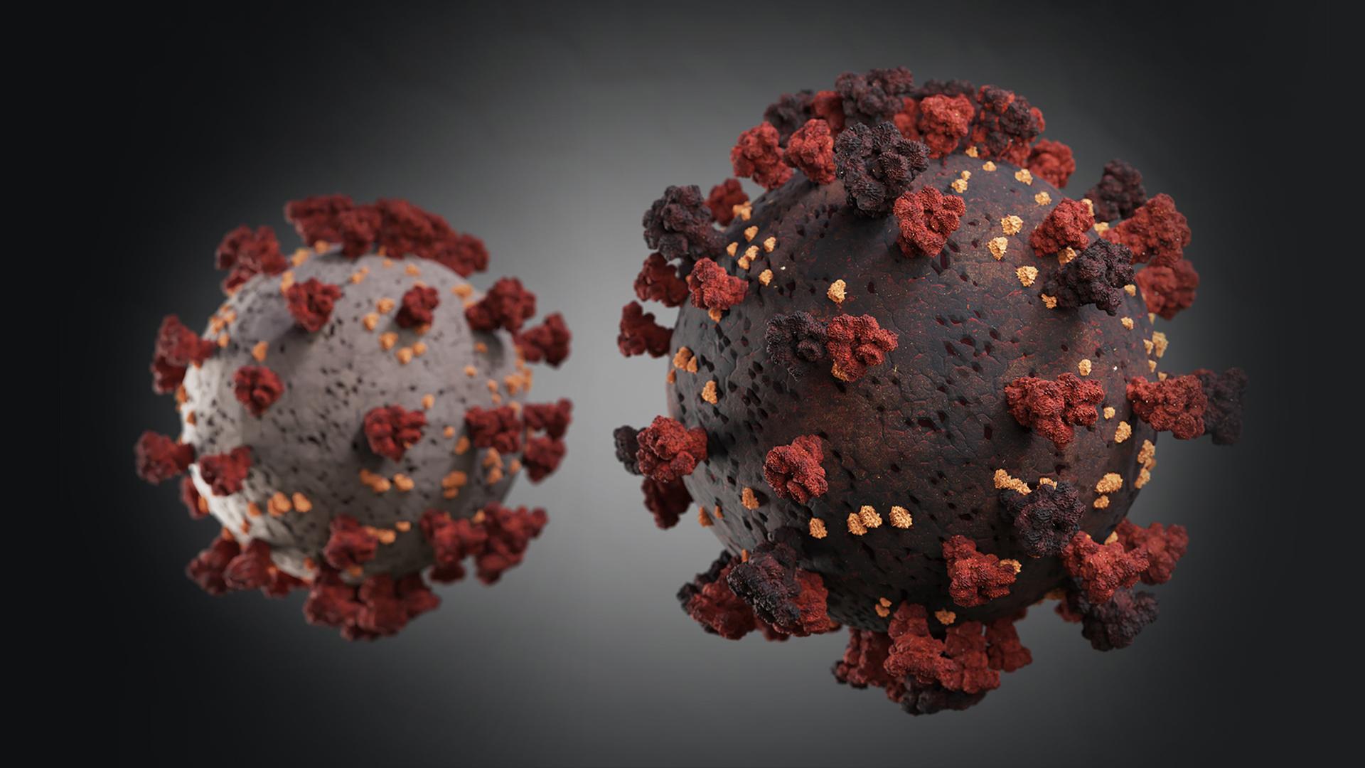 Zwei symbolische Darstellungen des Coronavirus in unterschiedlichen Farben. | PantherMedia, imilian
