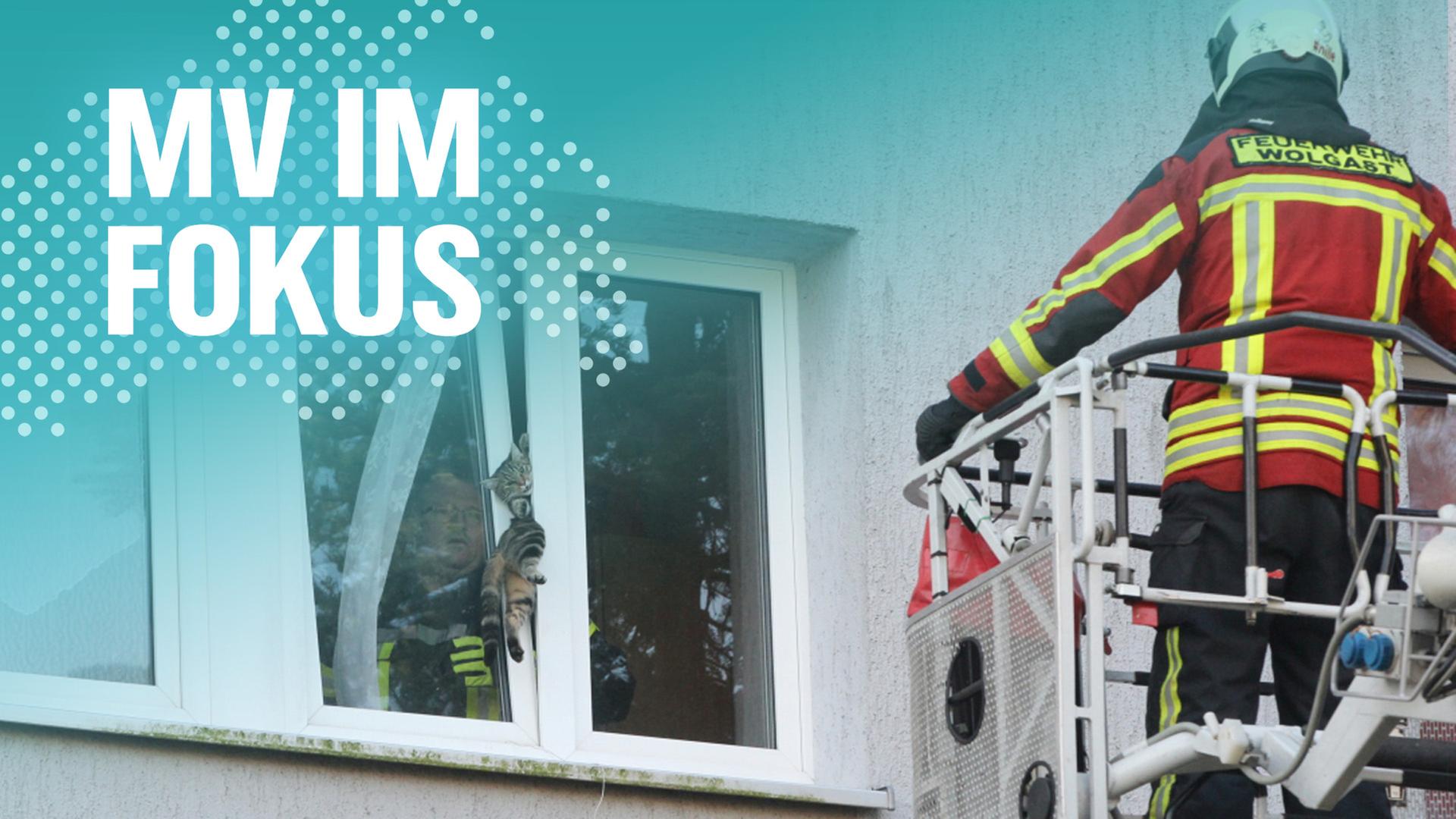 Stress für die Feuerwehr - Immer mehr Fehlalarme