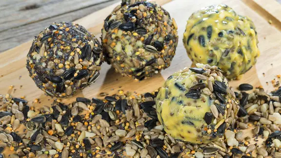 Selbst hergestelltes Futter wie Meisenknödel ist häufig günstiger als gekauftes. | xblickwinkel/F.xHeckerx Selbst gemachte Meisenknödel und Körner liegen auf einem Holzbrett