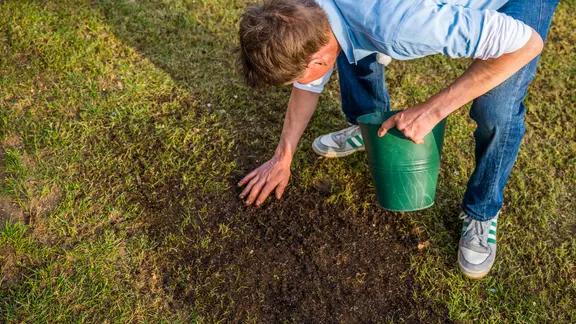 Rasen im Frhling pflegen, dngen und mhen | ndr.de