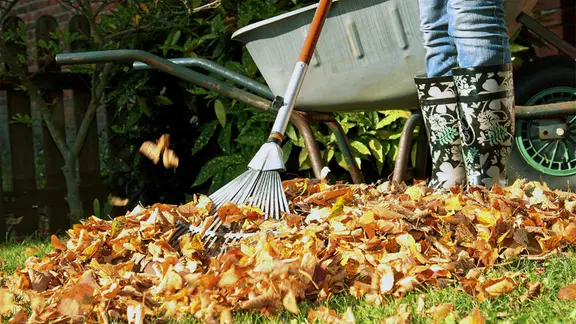 Eine Person steht mit Gummistiefeln und Rechen vor einem Laubhaufen. | Fotolia, Kathrin39 Eine Person steht mit Gummistiefeln und Rechen vor einem Laubhaufen.