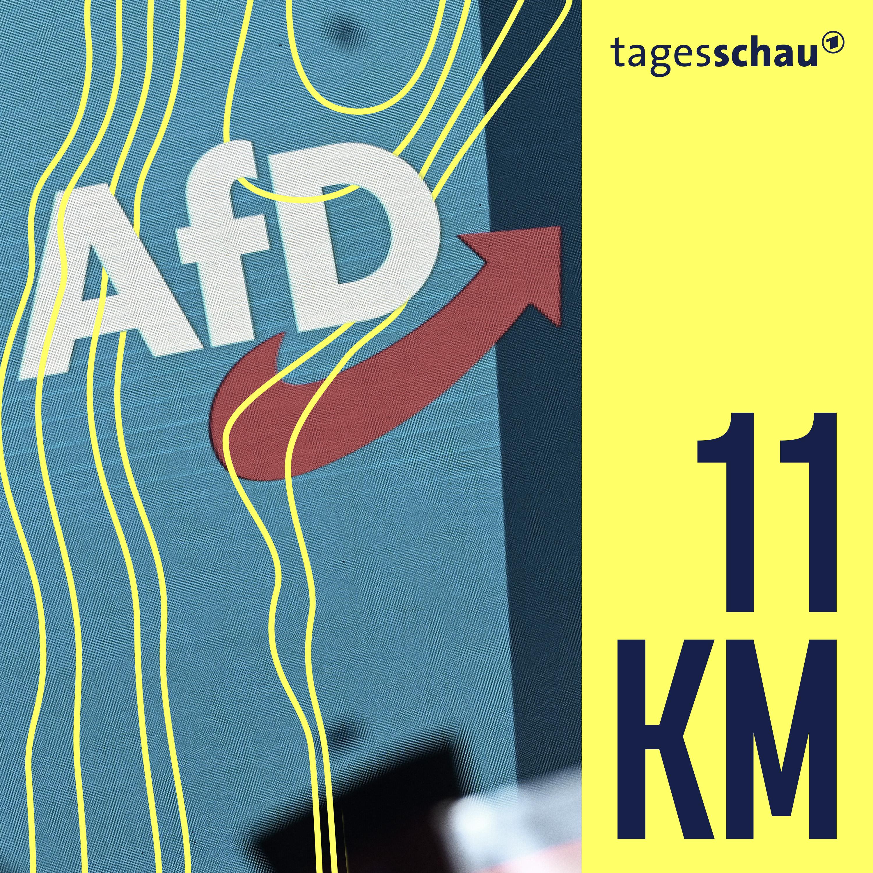 AfD-Leak: Was die gehackten E-Mails bereits verraten