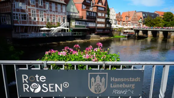 "Roten Rosen"-Logo am Selfiepoint auf der Brausebrücke in der historischen Altstadt am Stint. | dpa, Philipp Schulze "Roten Rosen"-Logo am Selfiepoint auf der Brausebrücke in der historischen Altstadt am Stint.