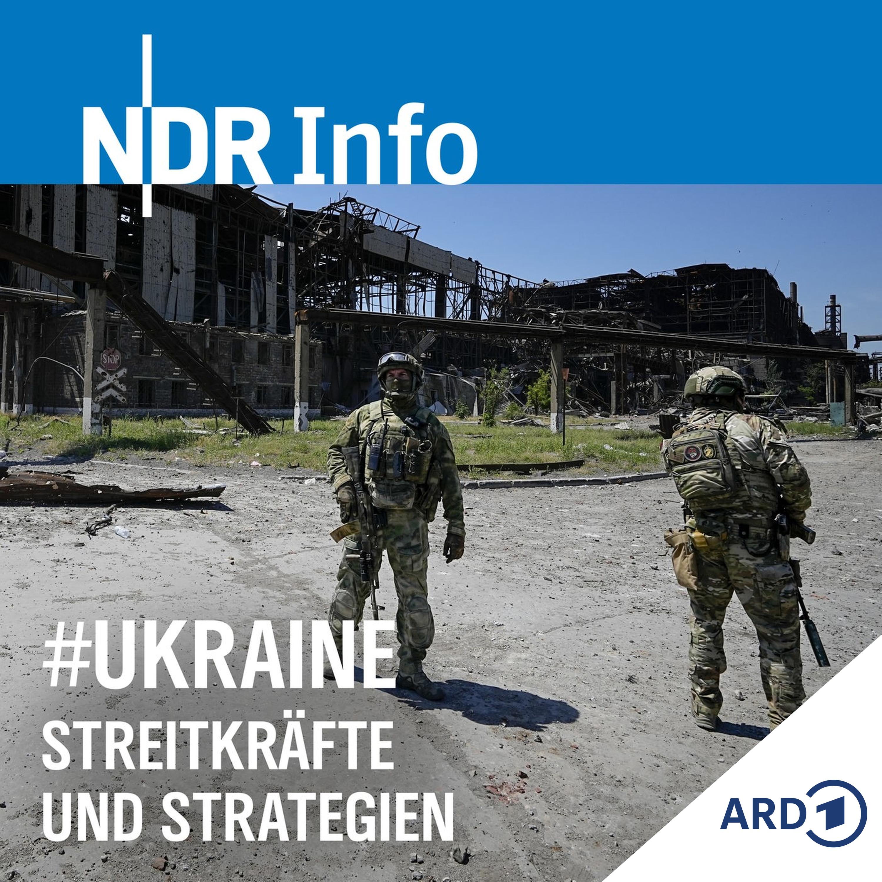 Schwächen der russischen Armee (Tag 133)