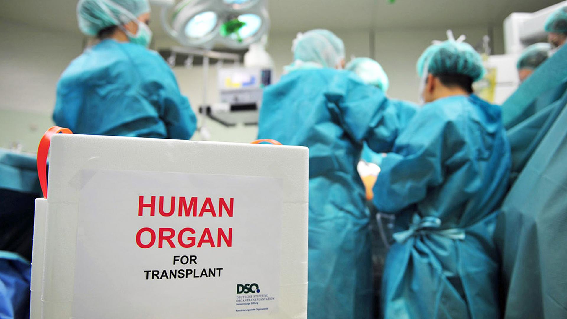Hoffnung für Nierenkranke: Transplantationsgesetz soll gelockert werden