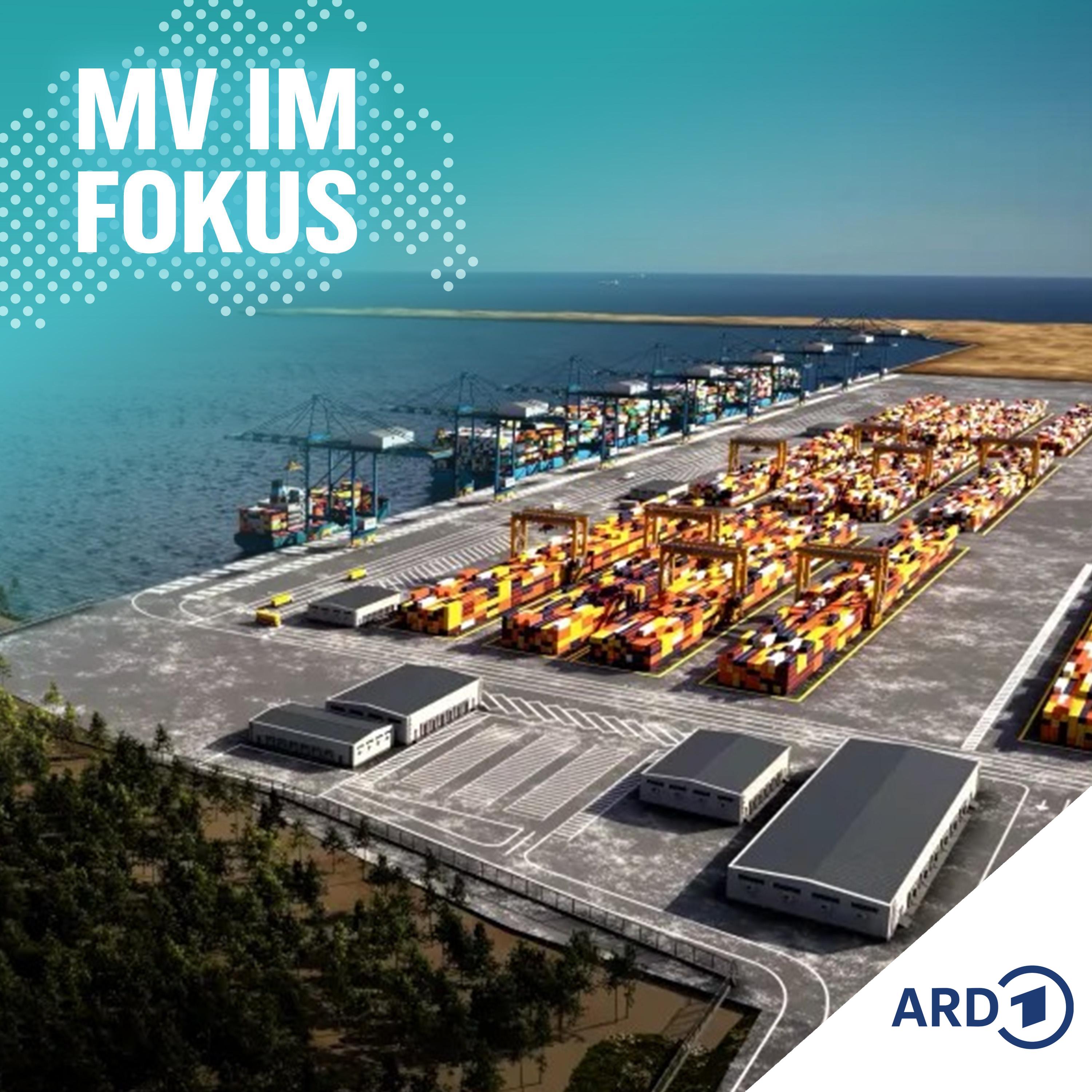 Containerhafen Swinemünde - Chance oder Risiko für die Ostsee? episode artwork