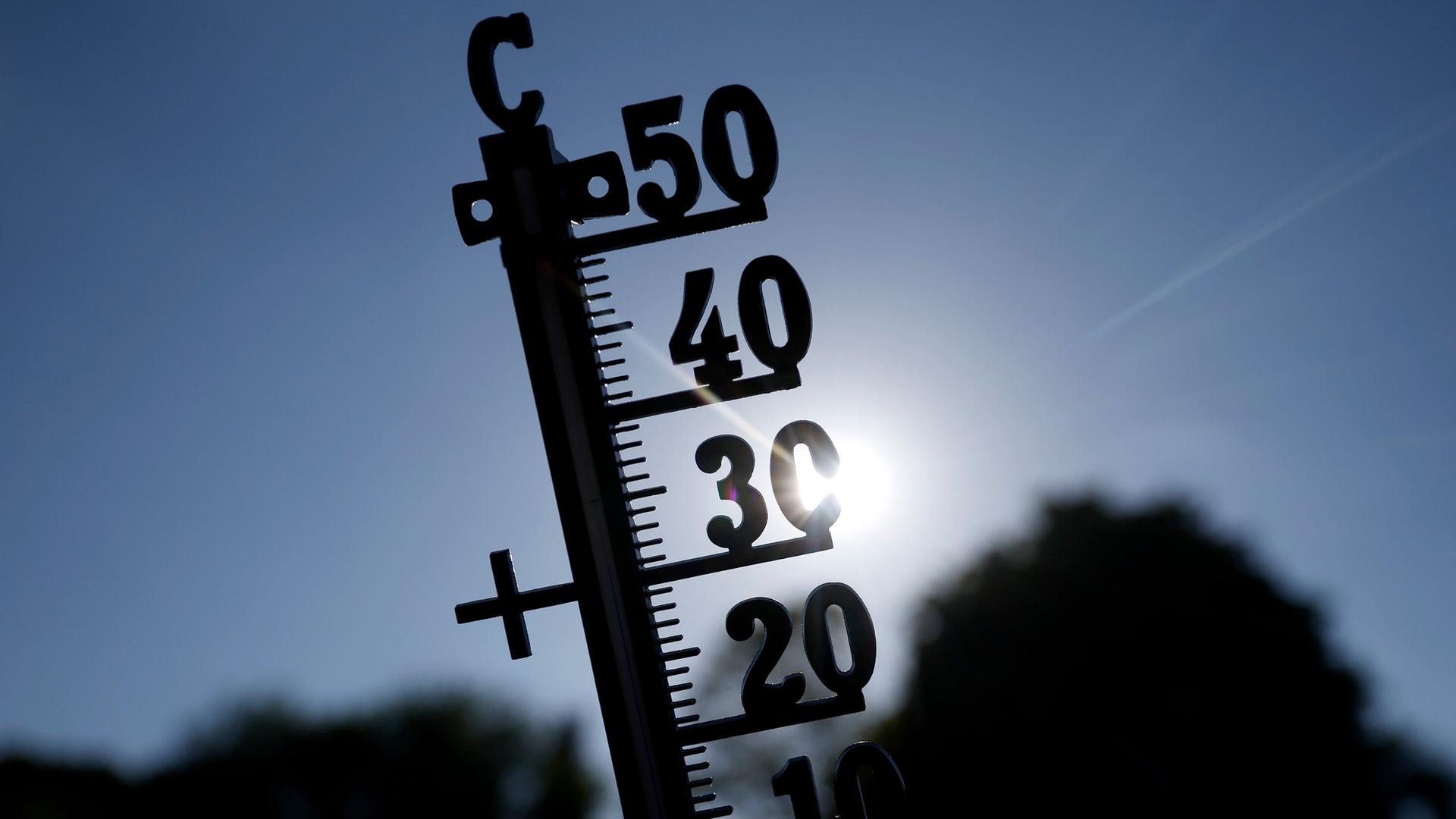 Ein Thermometer vor blauem Himmel und Sonnenschein | picture alliance / Panama Pictures | Christoph Hardt