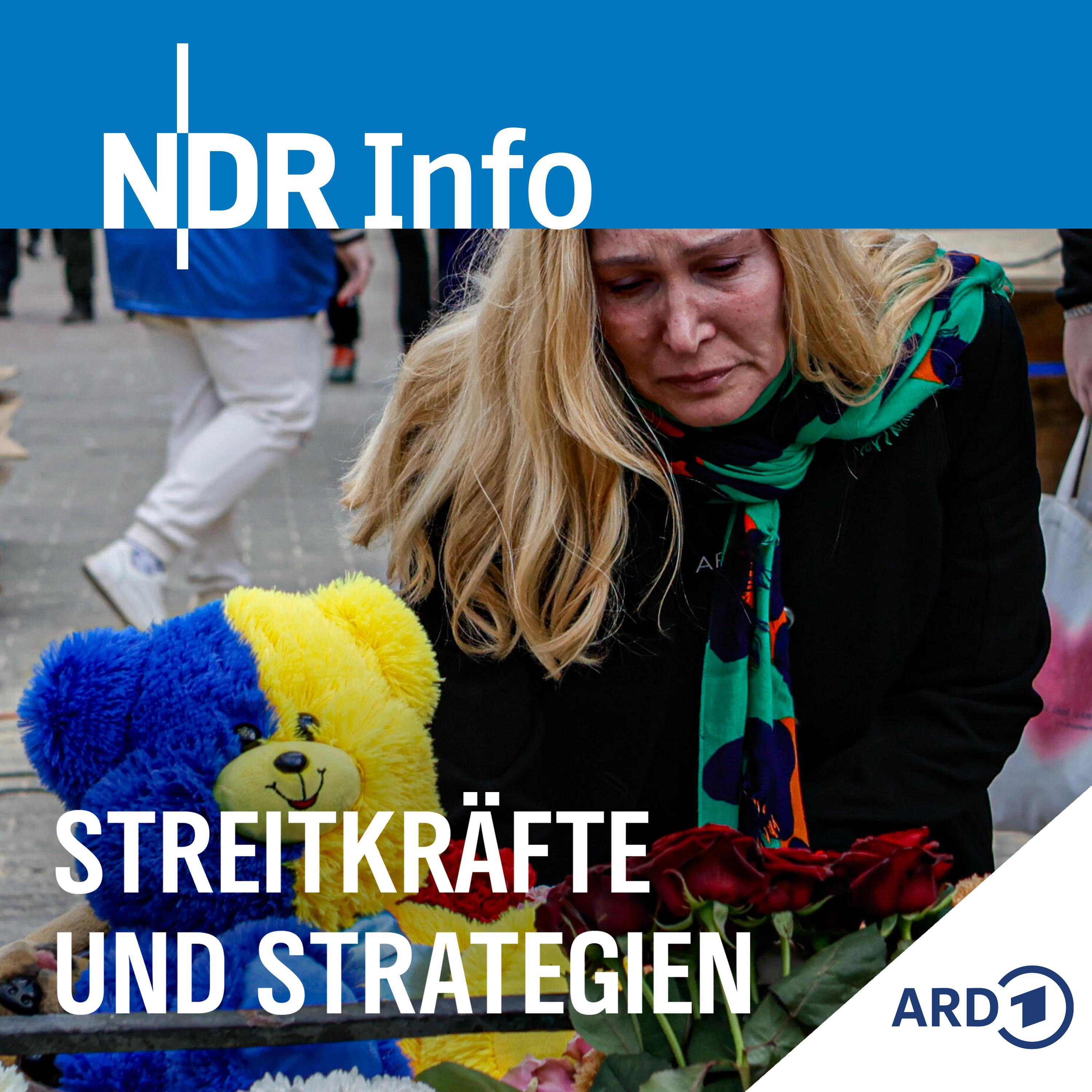Streitkräfte und Strategien