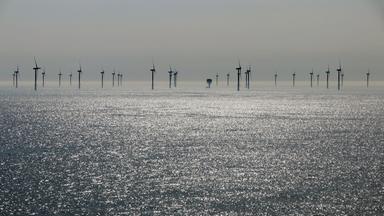 Ein Offshore-Windpark im Meer.