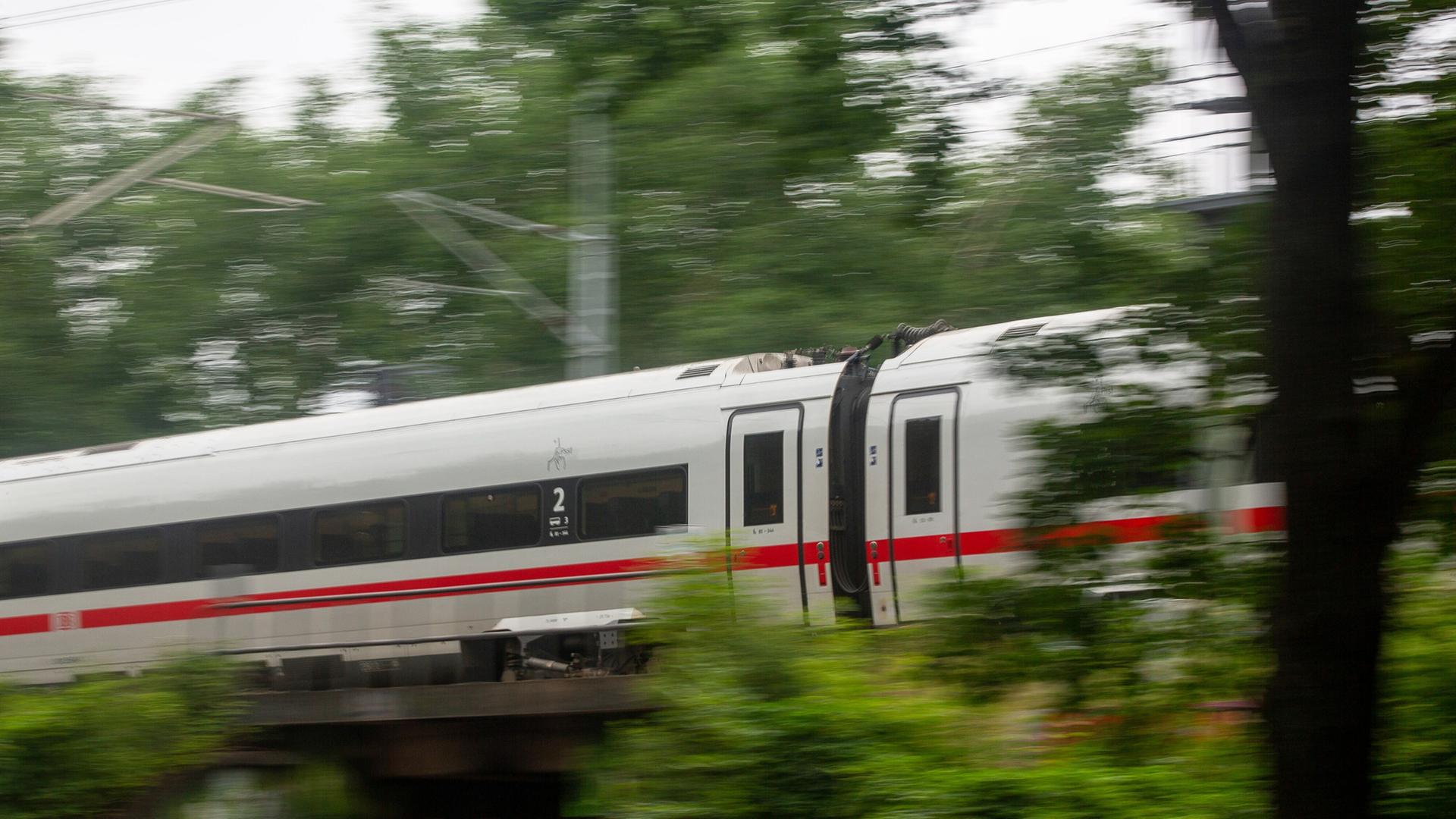 Ein ICE der Deutschen Bahn fährt schnell durch ein bewaldetes Gebiet.  | picture alliance/dpa | Fernando Gutierrez-Juarez