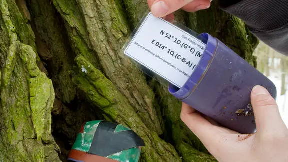 Eine Frau versteckt einen Geocache-Behälter in einem Baumstamm.