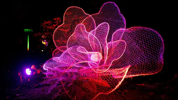 Bad Zwischenahn: Tausende Lichter erhellen den Park der Gärten