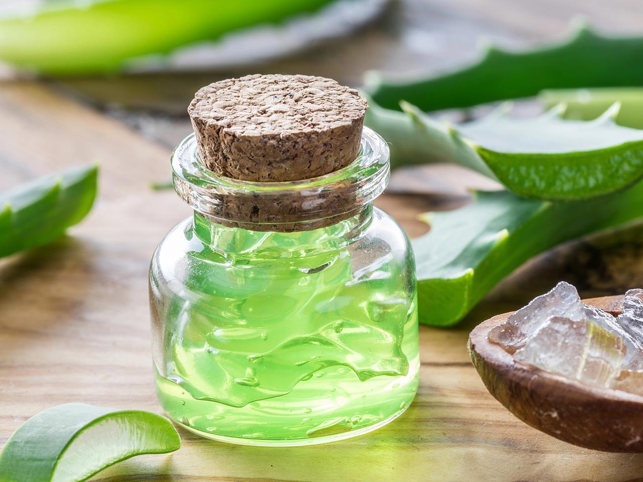 Aloe Vera: Welche Wirkung hat die Heilpflanze? | ndr.de