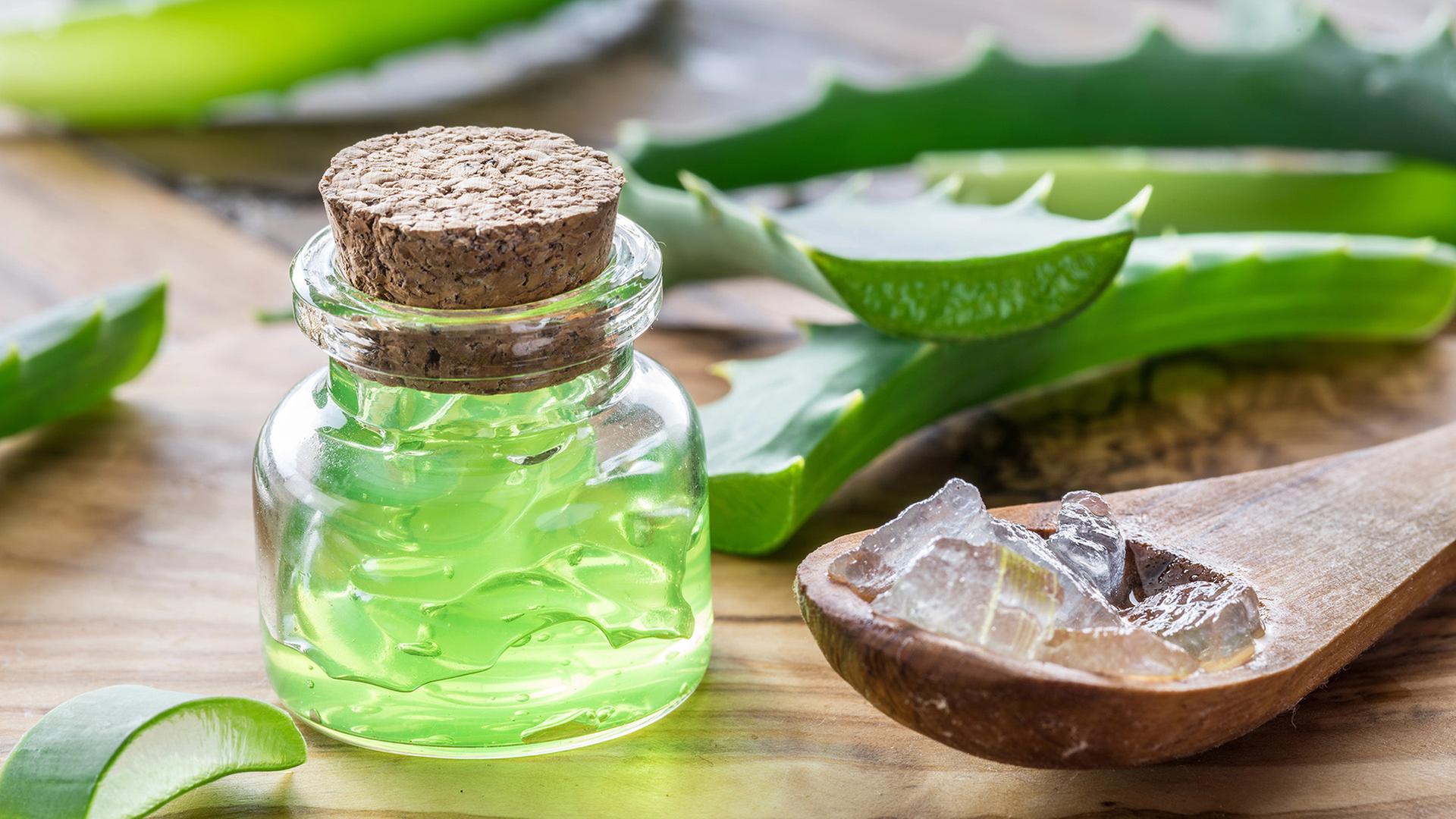 aloe vera capsules benefits Aloe Vera Softgel - 60 Capsules 50mg main image 1