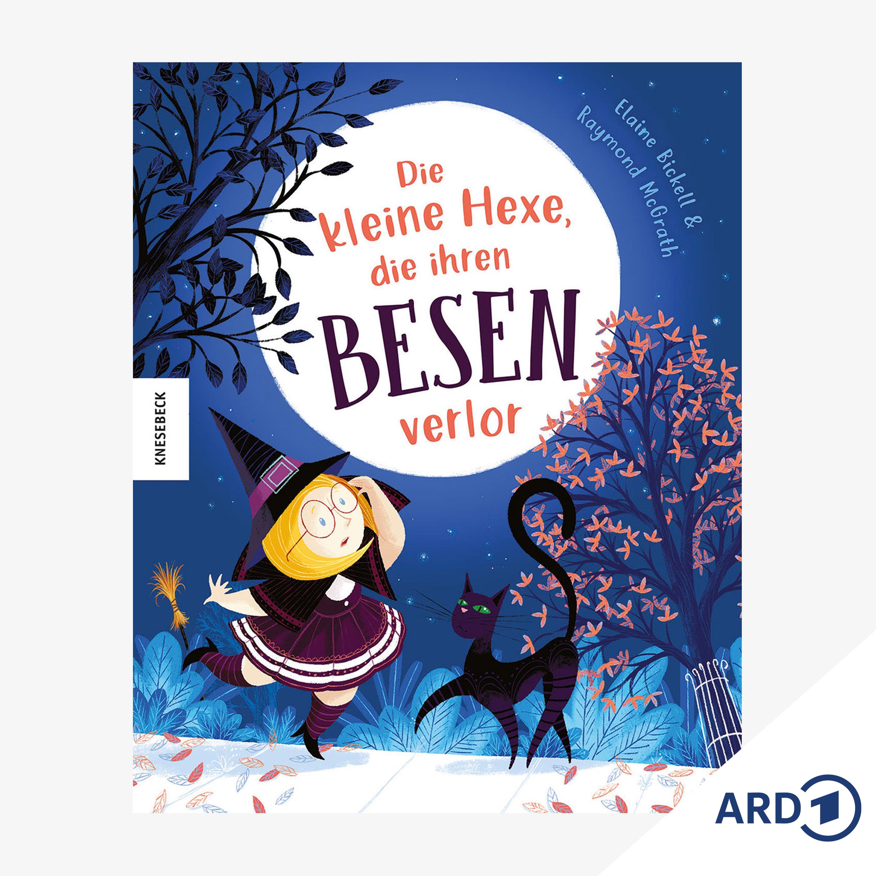 Bücherwürmchen-Buchtipp: Die kleine Hexe, die ihren Besen verlor episode artwork