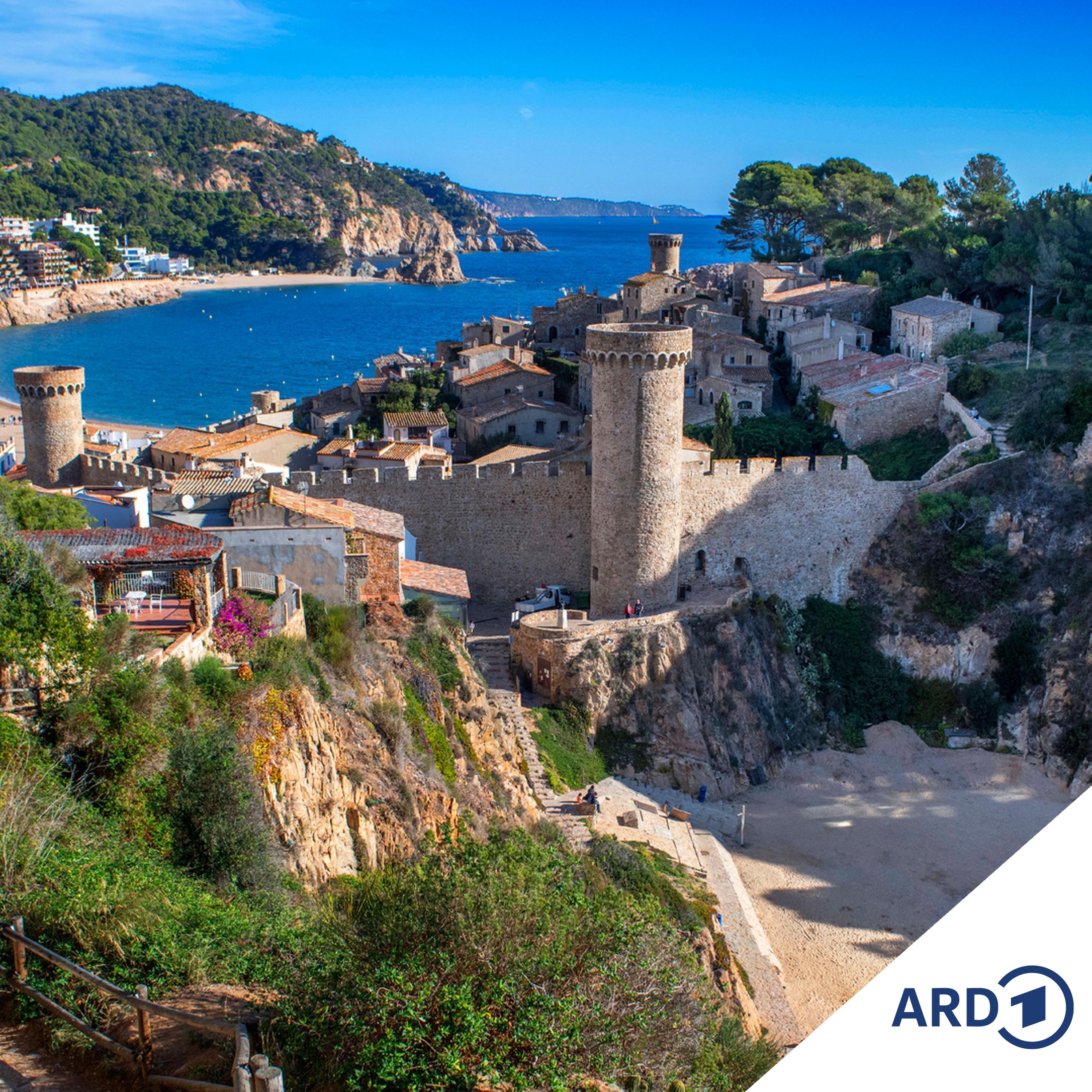 Zwischen Hamburg und Haiti