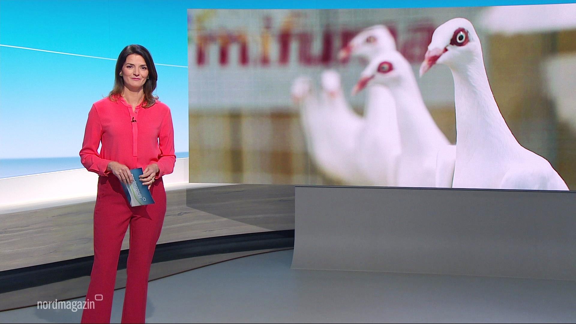Nordmagazin | 18.10.2026