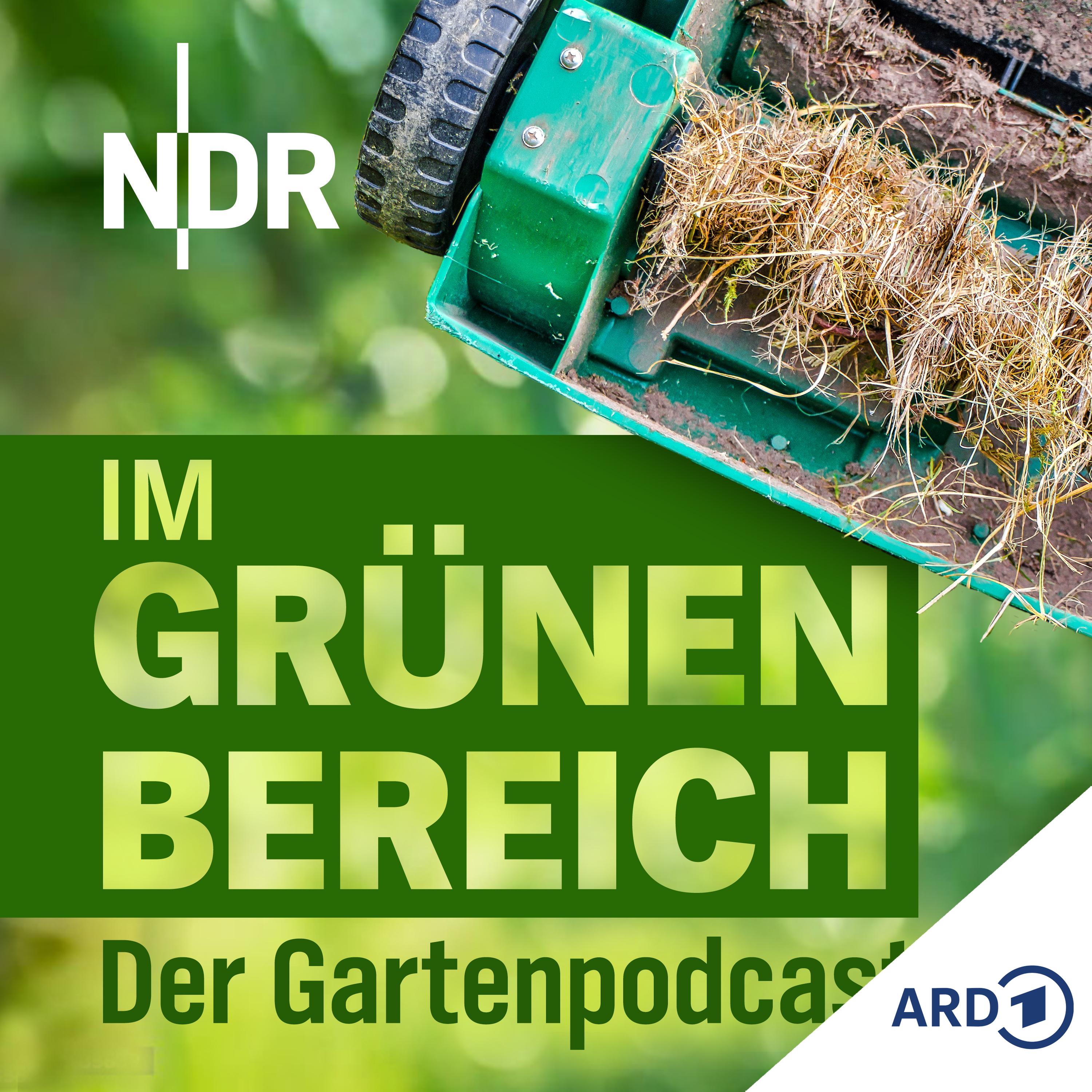 Play Die besten Tipps zur Rasenpflege: So wird er sattgrün und gesund