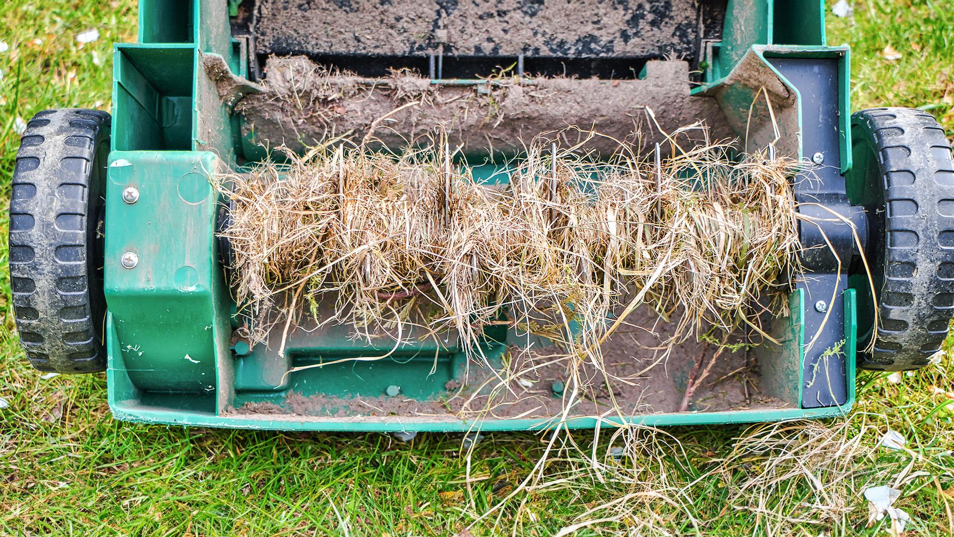 Vertikutierer Rasen | AdobeStock/ festfotodesign