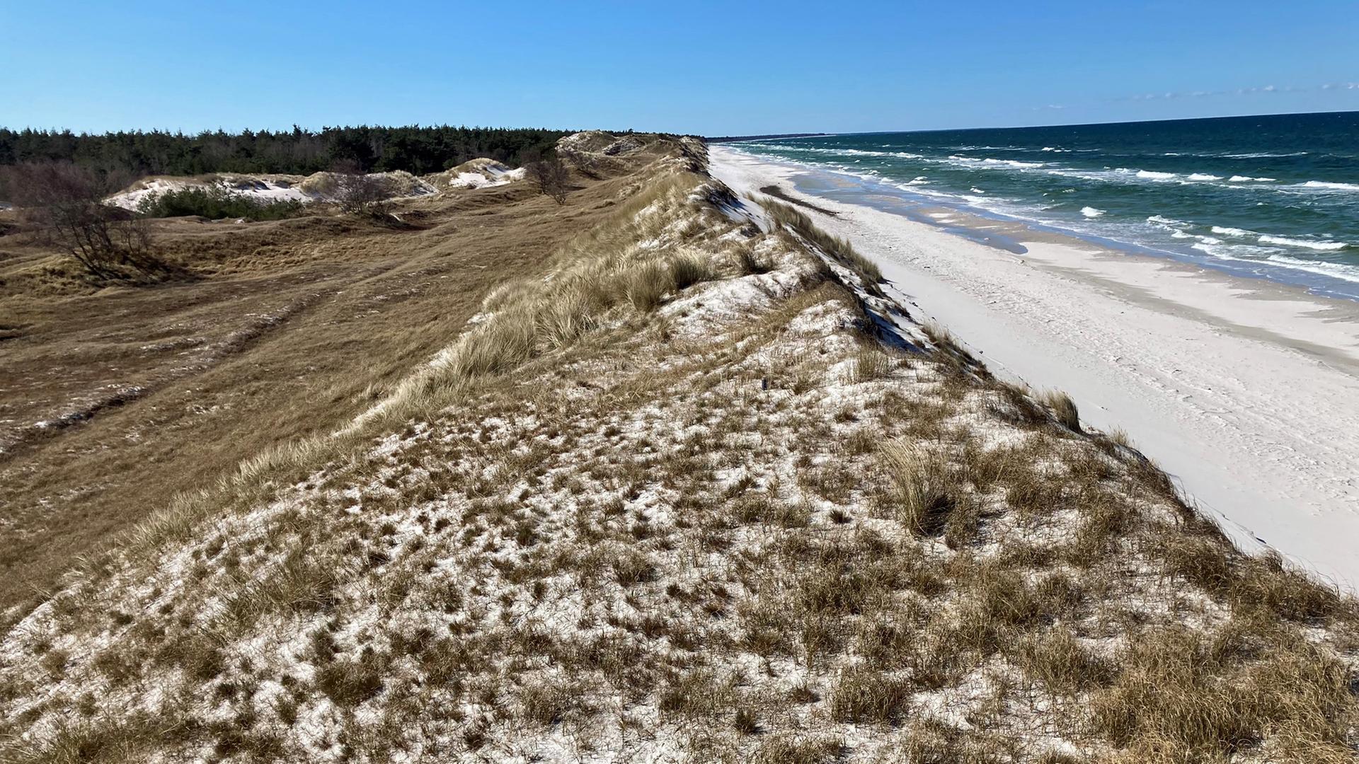 Blick von der Hohen Düne beim Pramort auf Ostsee und Dünenlandschaft | NDR, Nathalie Komaromi