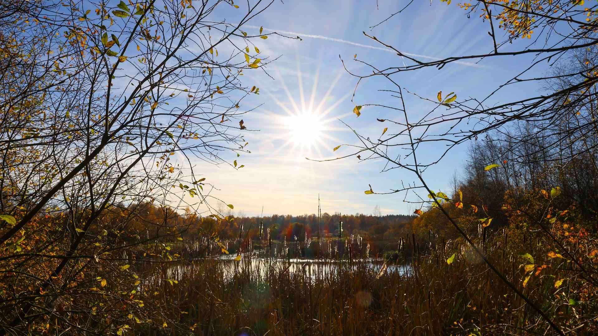 November 2025: Zu sonnig und zu warm trotz Temperatursturz