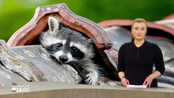 Anna Albrecht im Studio.