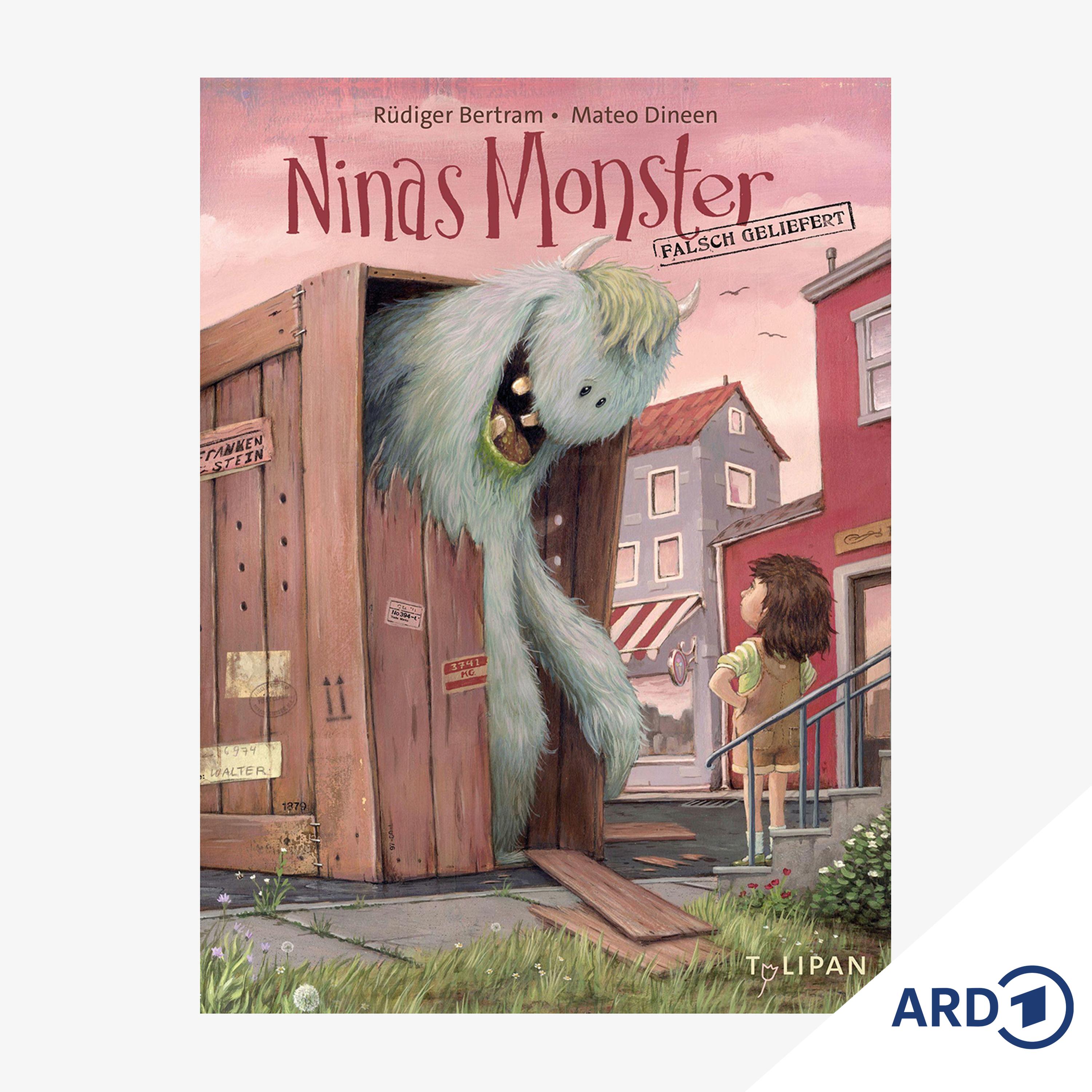 Buchtipp ab 8: Ninas Monster. Falsch geliefert episode artwork