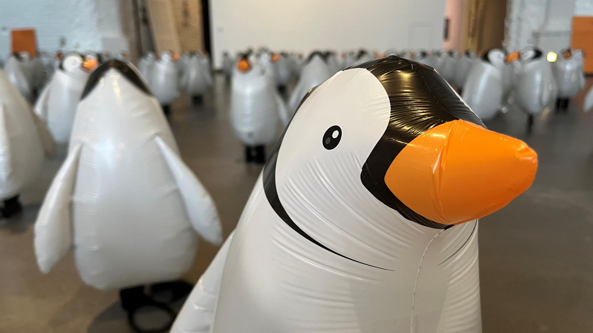 Protest und Mahnung mit süßen Pinguin-Ballons