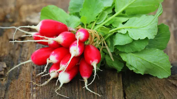weinreben düngen womit Purgrün Bio-Weinreben-Dünger 1 Liter