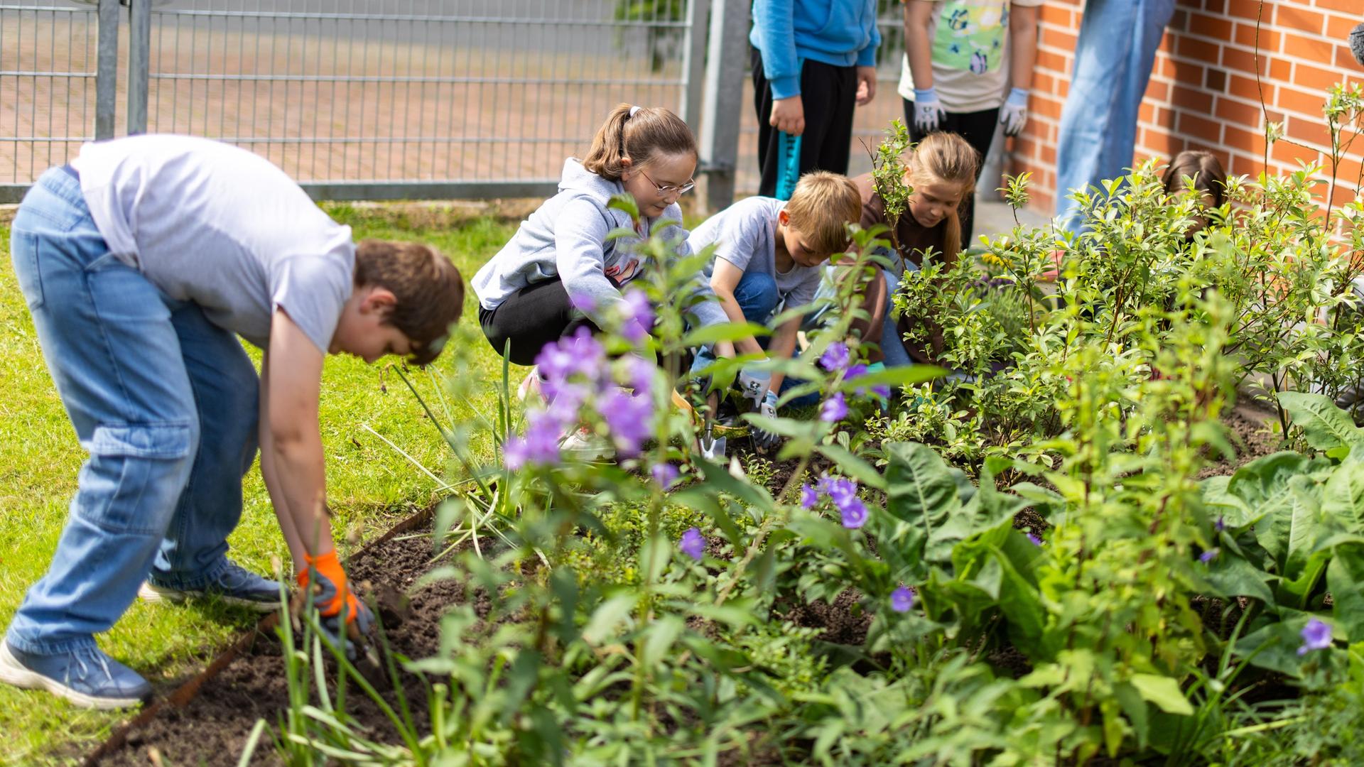 Schülerinnen und Schüler erledigen Gartenarbeiten im Hummelgarten an ihrer Grundschule. | Hummelfreunde Nordwest, Markus Hibbeler